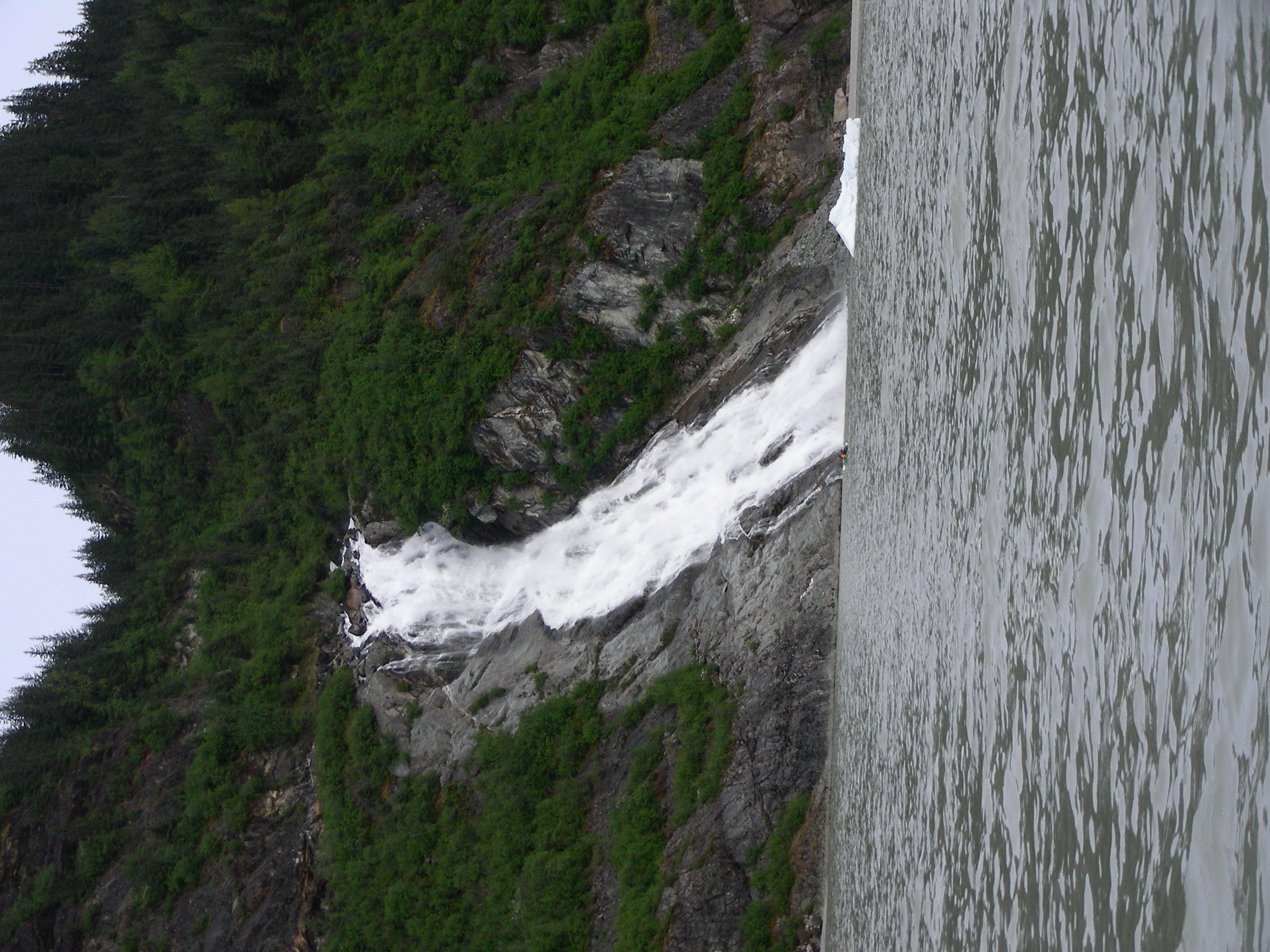./2017/08 - Alaska Cruise/08 - Juneau/DSCN9503.JPG